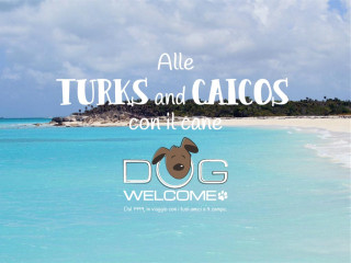 Alle Turks e Caicos con il cane
