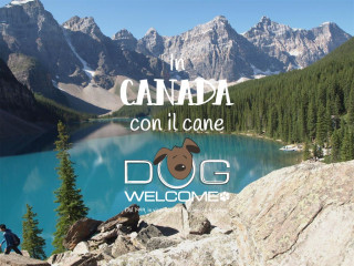 Vacanze con il cane in Canada