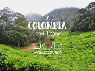 Andare in vacanza in Colombia con il cane