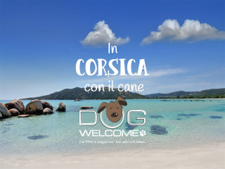 Vacanze con il cane in Corsica
