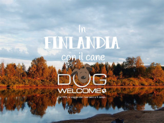 Vacanze con il cane in Finlandia