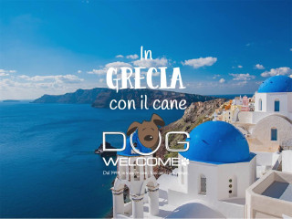 Vacanze con il cane in Grecia