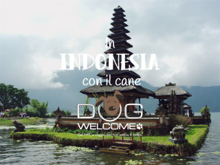 Vacanze con il cane in Indonesia - Bali