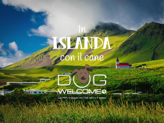 In Islanda con il cane