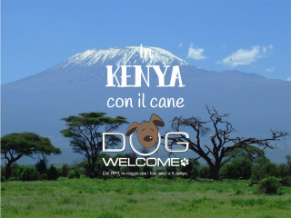 In Kenya con il cane in vacanza