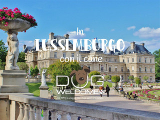 Vacanze con il cane in Lussemburgo