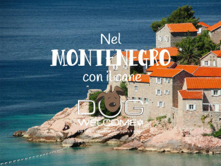 Andare in Montenegro con il cane in vacanza