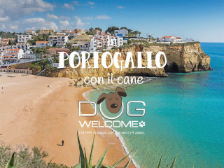 Vacanze con il cane in Portogallo - La spiaggia di Carvoeiro. Algarve