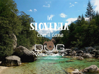 Con il cane in Slovenia in vacanza o per un weekend