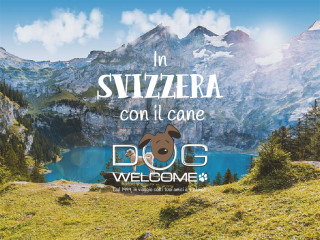 Vacanze e weekend con il cane in Svizzera