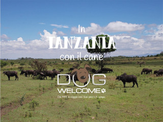 In Tanzania con il cane