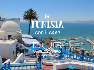 Andare in Tunisia con il cane - Viaggi e vacanze con cane, gatto ed altri animali domestici 
