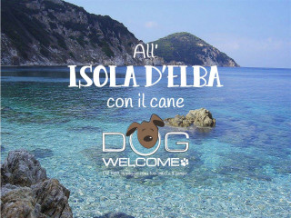 Vacanze con il cane al mare all'Isola d'Elba