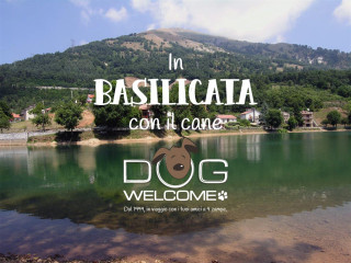 Vacanze e weekend con il cane in Basilicata - Ph. Credits: Francesco Triglia CC BY SA 3.0