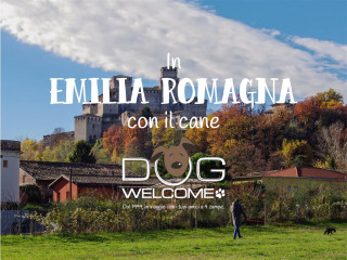 Vacanze e weekend con il cane in Emilia Romagna