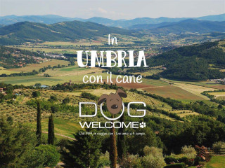 In Umbria con il cane in vacanza o per un weekend