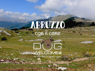Vacanze e weekend in Abruzzo con il cane, montagna e mare