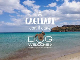 Vacanze e weekend con il cane a Cagliari e provincia