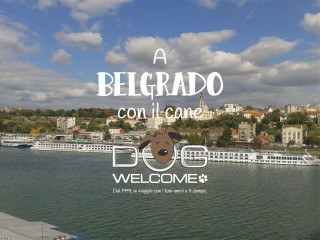 A Belgrado in vacanza con il cane