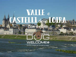 Vacanze con il cane nella Valle della Loira