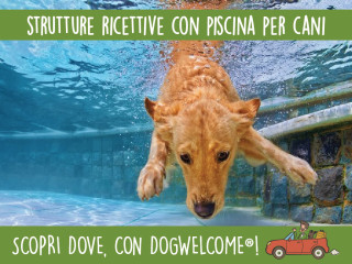 Hotel, agriturismo, residence, case vacanza con piscina per cani