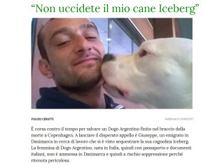 I cani considerati pericolosi in Italia e all'estero: quali sono e le norme