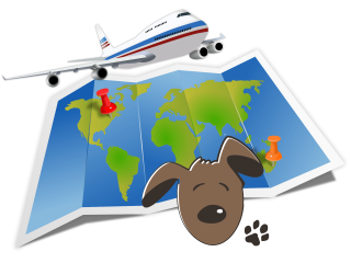 Viaggiare con il cane e il gatto in aereo all'estero