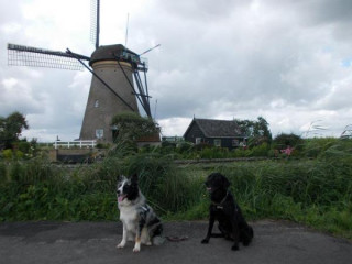 Brazo e Angel in giro per l'Olanda