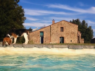 Agriturismo Podere Vignali Toscana Maremma cani ammessi e benvenuti