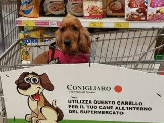 Supermercato cani ammessi a Palermo