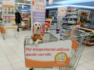 Cani ammessi al supermercato nel carrello