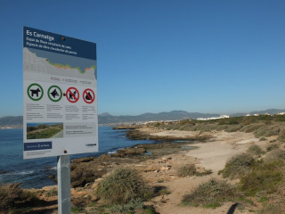 La spiaggia cani ammessi di Es Carnatge, Maiorca, Isole Baleari, Spagna