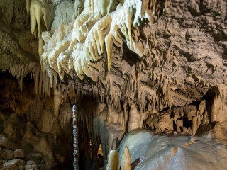 Grotte di Villanova, cani ammessi - Ph. Credits: TurismoFVG.it, Author: Massimo Crivellari