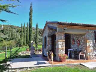 Casa vacanze pet friendly Toscana vista panoramica giardino recintato - Casa Baffo
