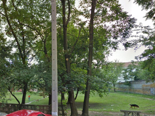 Il Parco per cani Milosha Bajicha a Novi Sad