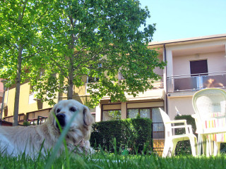 Hotel Lago di Garda cani ed altri animali ammessi - Hotel Eden Toscolano