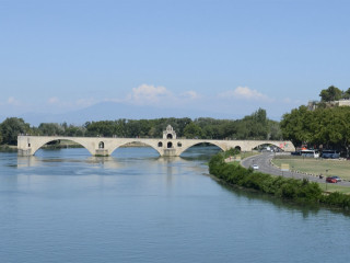 Il ponte di Avignone, cani ammessi