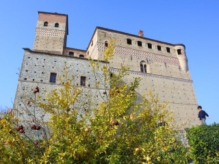 Castello di Serralunga d'Alba con il cane
