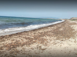 Spiaggia per cani Abarossa