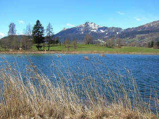 Lago di Lod Valle d'Aosta, cani ammessi anche in acqua