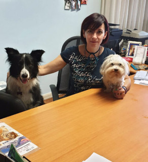 Lela in ufficio con i suoi cani