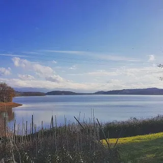 Al Lago di Bilancino con il cane a fare il bagno - By Christianlorenz97 (Own work) [CC BY-SA 4.0 (https://creativecommons.org/licenses/by-sa/4.0)], via Wikimedia Commons