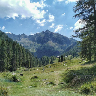 Passeggiata con il cane alle cascatelle della Val Campelle, Trento - Ph. credits: Rickrun69